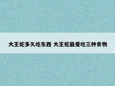 大王蛇多久吃东西 大王蛇最爱吃三种食物