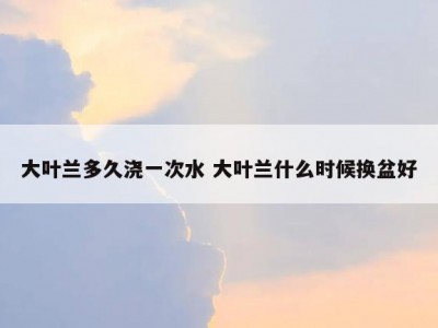 大叶兰多久浇一次水 大叶兰什么时候换盆好