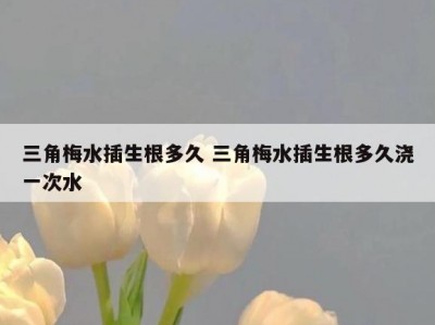 三角梅水插生根多久 三角梅水插生根多久浇一次水