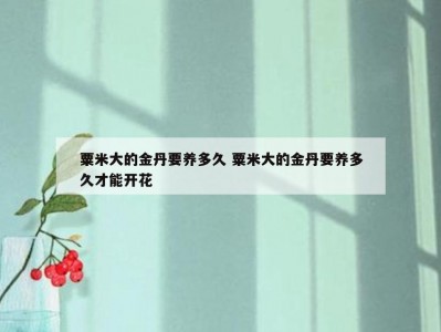 粟米大的金丹要养多久 粟米大的金丹要养多久才能开花