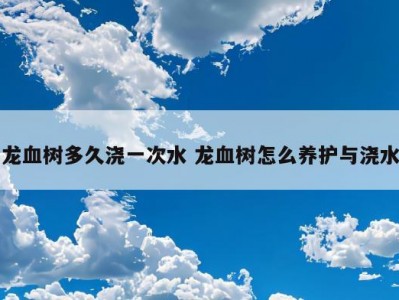 龙血树多久浇一次水 龙血树怎么养护与浇水