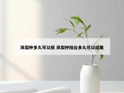 凤梨种多久可以摘 凤梨种阳台多久可以结果