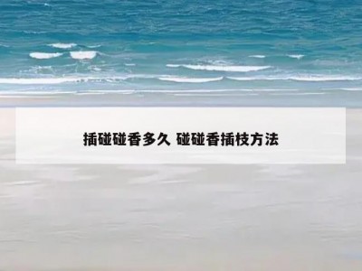 插碰碰香多久 碰碰香插枝方法