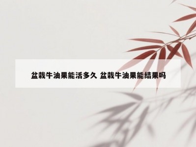 盆栽牛油果能活多久 盆栽牛油果能结果吗