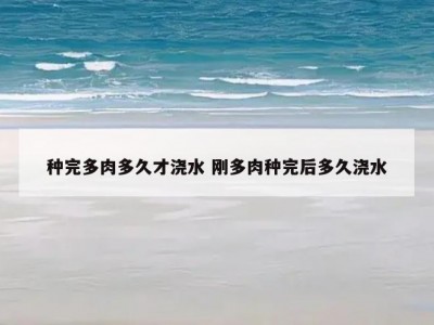 种完多肉多久才浇水 刚多肉种完后多久浇水