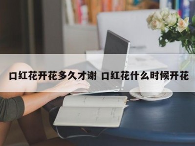 口红花开花多久才谢 口红花什么时候开花