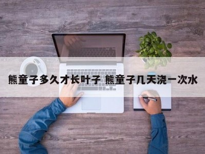 熊童子多久才长叶子 熊童子几天浇一次水