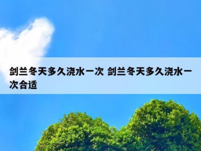 剑兰冬天多久浇水一次 剑兰冬天多久浇水一次合适