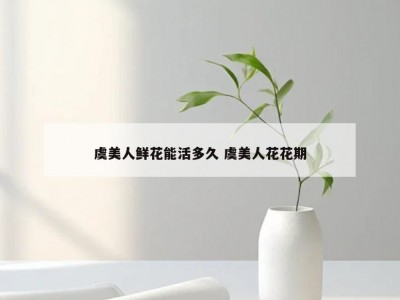 虞美人鲜花能活多久 虞美人花花期
