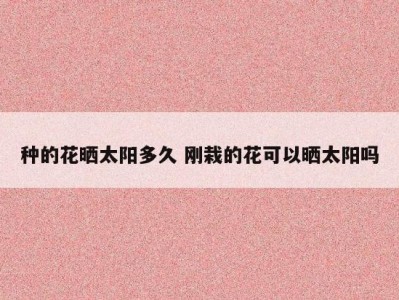 种的花晒太阳多久 刚栽的花可以晒太阳吗