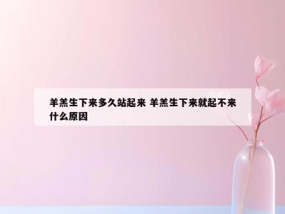 羊羔生下来多久站起来 羊羔生下来就起不来什么原因