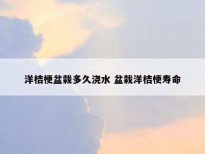 洋桔梗盆栽多久浇水 盆栽洋桔梗寿命