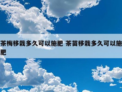 茶梅移栽多久可以施肥 茶苗移栽多久可以施肥