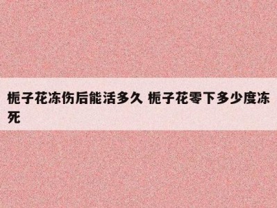 栀子花冻伤后能活多久 栀子花零下多少度冻死
