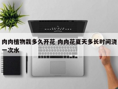 肉肉植物栽多久开花 肉肉花夏天多长时间浇一次水