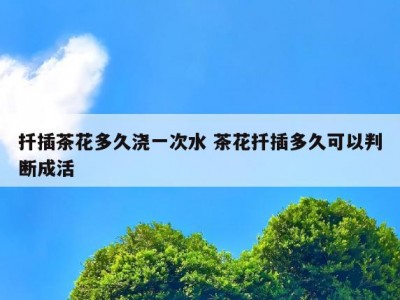 扦插茶花多久浇一次水 茶花扦插多久可以判断成活