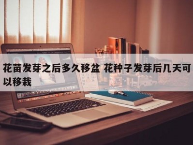 花苗发芽之后多久移盆 花种子发芽后几天可以移栽