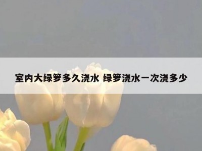 室内大绿箩多久浇水 绿箩浇水一次浇多少