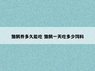 雏鹅养多久能吃 雏鹅一天吃多少饲料