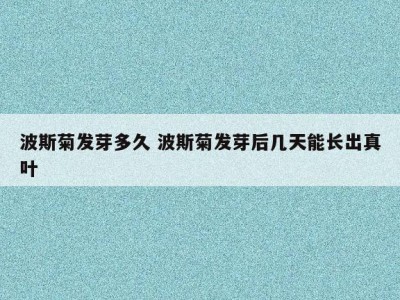 波斯菊发芽多久 波斯菊发芽后几天能长出真叶