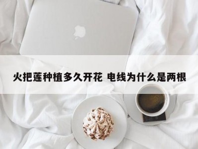 火把莲种植多久开花 电线为什么是两根