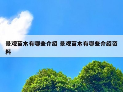 景观苗木有哪些介绍 景观苗木有哪些介绍资料