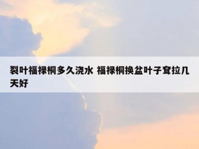 裂叶福禄桐多久浇水 福禄桐换盆叶子耷拉几天好