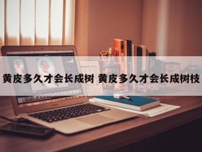 黄皮多久才会长成树 黄皮多久才会长成树枝