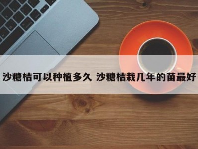 沙糖桔可以种植多久 沙糖桔栽几年的苗最好