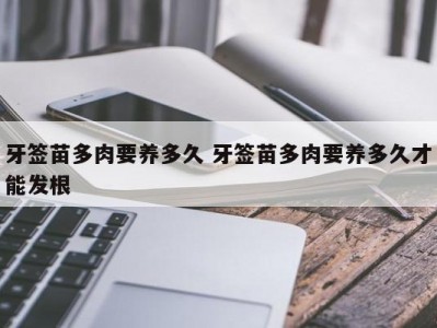 牙签苗多肉要养多久 牙签苗多肉要养多久才能发根