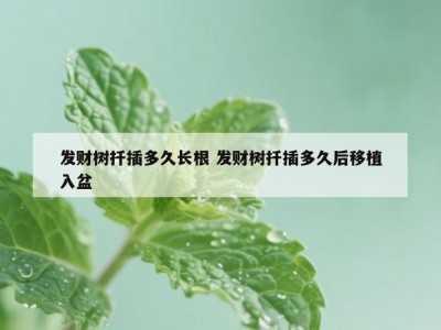 发财树扦插多久长根 发财树扦插多久后移植入盆
