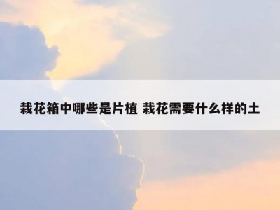 栽花箱中哪些是片植 栽花需要什么样的土