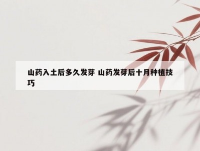山药入土后多久发芽 山药发芽后十月种植技巧