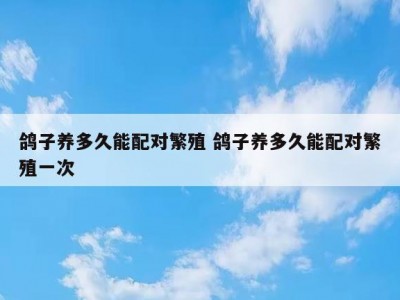 鸽子养多久能配对繁殖 鸽子养多久能配对繁殖一次