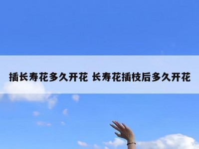 插长寿花多久开花 长寿花插枝后多久开花