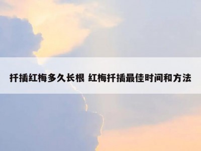扦插红梅多久长根 红梅扦插最佳时间和方法