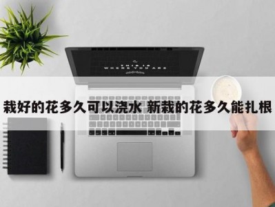 栽好的花多久可以浇水 新栽的花多久能扎根