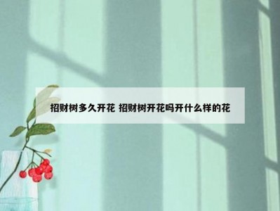 招财树多久开花 招财树开花吗开什么样的花