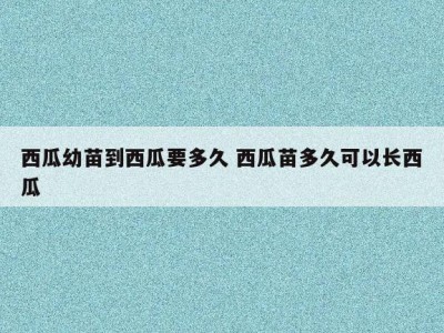 西瓜幼苗到西瓜要多久 西瓜苗多久可以长西瓜