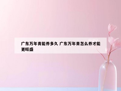 广东万年青能养多久 广东万年青怎么养才能更旺盛