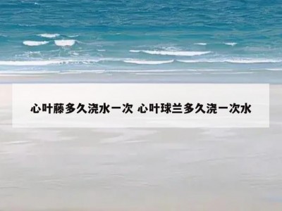 心叶藤多久浇水一次 心叶球兰多久浇一次水
