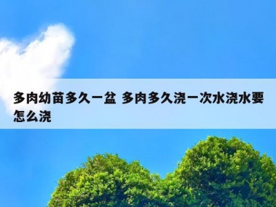 多肉幼苗多久一盆 多肉多久浇一次水浇水要怎么浇