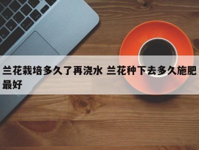 兰花栽培多久了再浇水 兰花种下去多久施肥最好