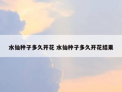 水仙种子多久开花 水仙种子多久开花结果
