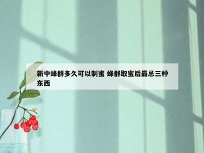 新中蜂群多久可以制蜜 蜂群取蜜后最忌三种东西
