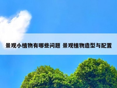 景观小植物有哪些问题 景观植物造型与配置