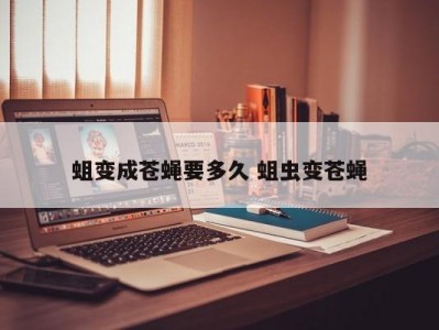 蛆变成苍蝇要多久 蛆虫变苍蝇