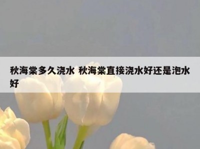 秋海棠多久浇水 秋海棠直接浇水好还是泡水好