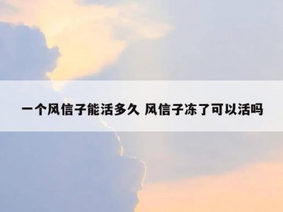 一个风信子能活多久 风信子冻了可以活吗