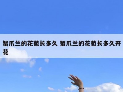 蟹爪兰的花苞长多久 蟹爪兰的花苞长多久开花